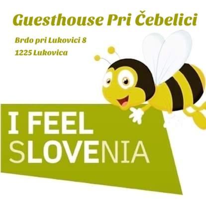 Guesthouse Pri Cebelici Lukovica pri Domzalah Экстерьер фото